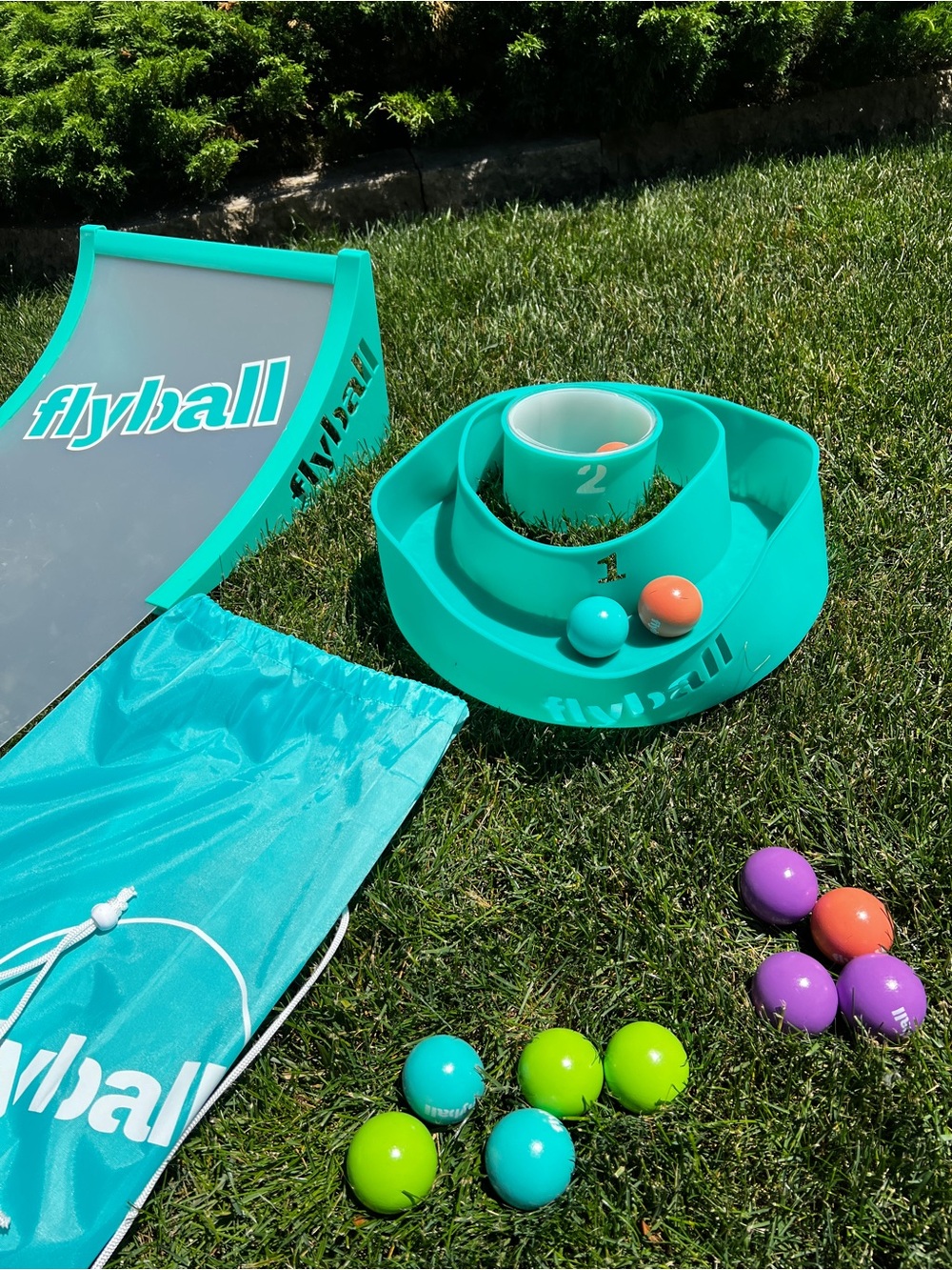 Flyball Lawn and Beach Skeeball Game. - Picture 5 of 7